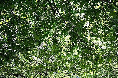 《幻兽帕鲁》繁殖改动引不满 官方确认将回滚改动